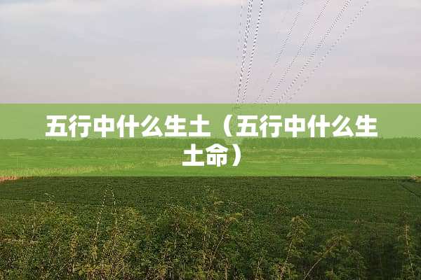 五行中什么生土（五行中什么生土命）