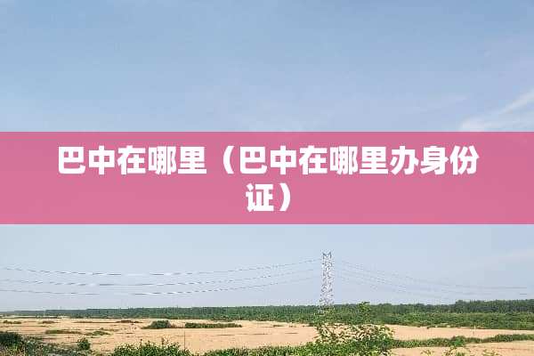 巴中在哪里（巴中在哪里办***）