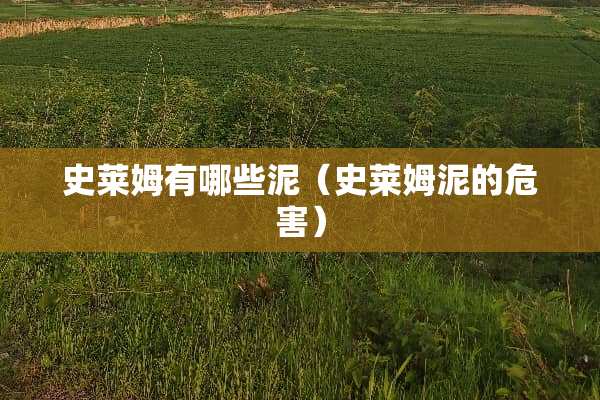 史莱姆有哪些泥（史莱姆泥的危害）