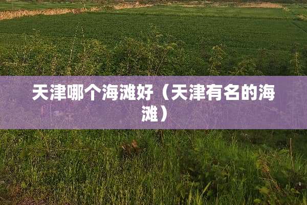 天津哪个海滩好（天津有名的海滩）