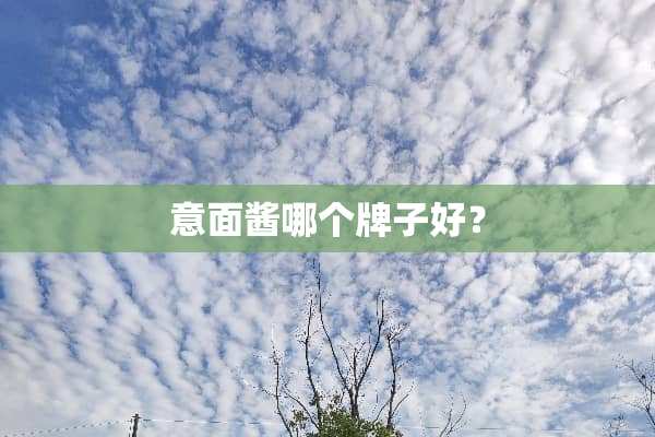意面酱哪个牌子好？