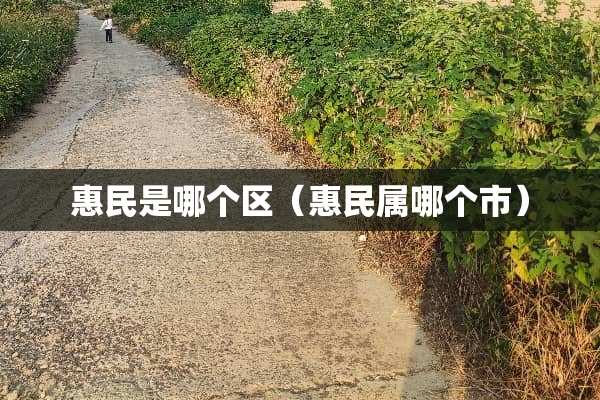 惠民是哪个区（惠民属哪个市）