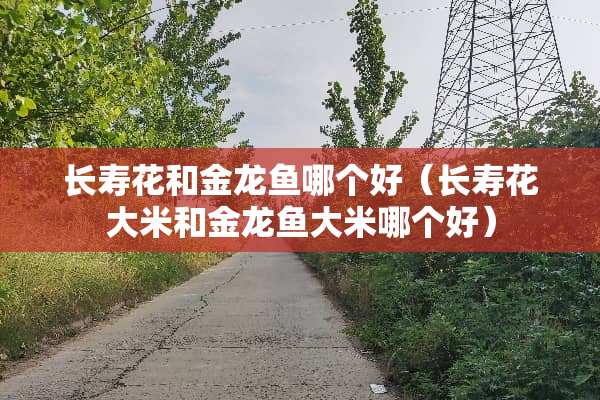 长寿花和金龙鱼哪个好（长寿花大米和金龙鱼大米哪个好）