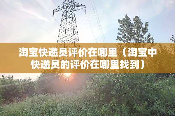 淘宝快递员评价在哪里（淘宝中快递员的评价在***到）