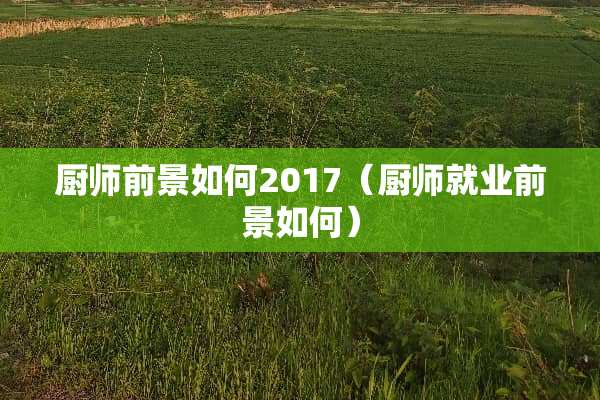 厨师前景如何2017（厨师就业前景如何）