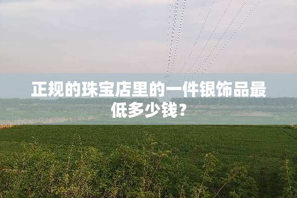 正规的珠宝店里的一件银饰品最低多少钱？