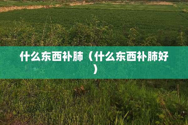 什么东西补肺（什么东西补肺好）