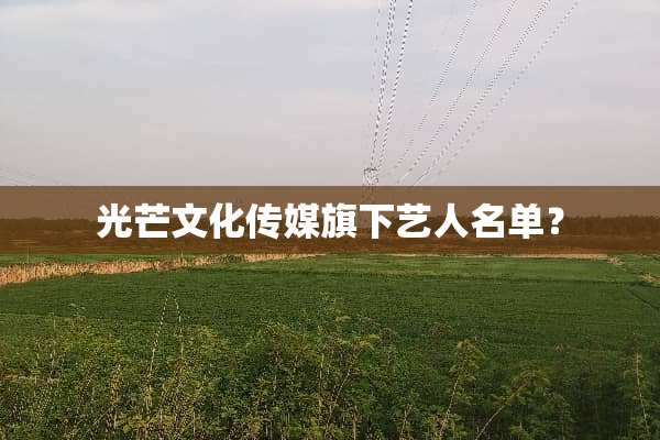 光芒文化传媒旗下艺人名单？
