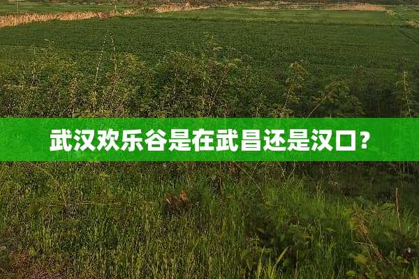 武汉欢乐谷是在武昌还是汉口？