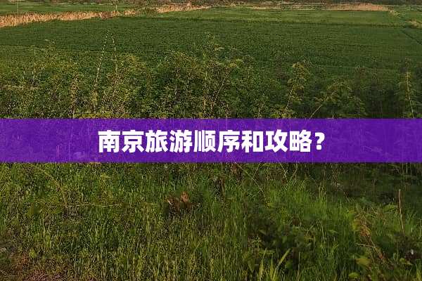 南京旅游顺序和攻略？