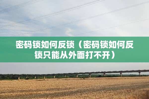 密码锁如何反锁（密码锁如何反锁只能从外面打不开）