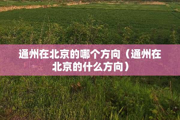 通州在北京的哪个方向（通州在北京的什么方向）