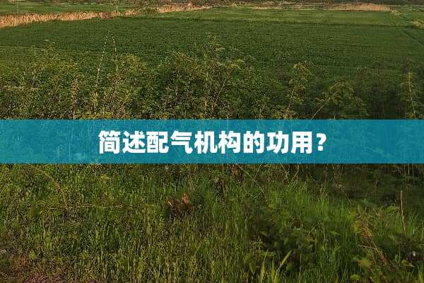 简述配气机构的功用？
