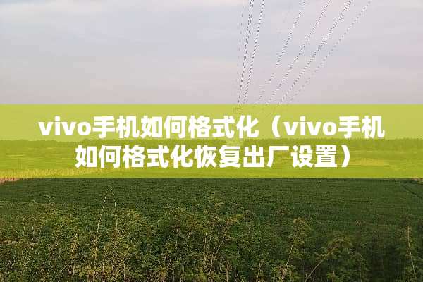 vivo手机如何格式化（vivo手机如何格式化恢复出厂设置）