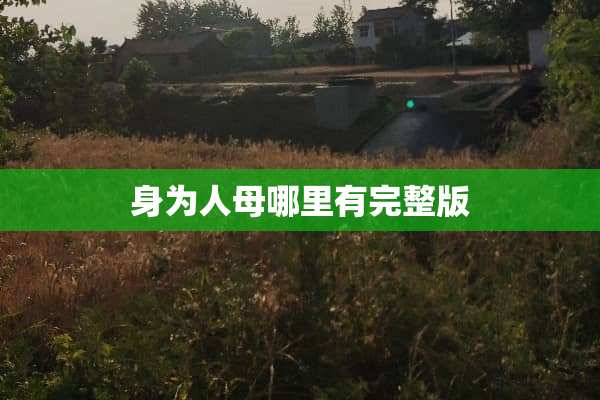 身为人母哪里有完整版