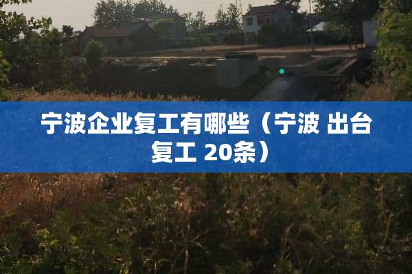 宁波企业复工有哪些（宁波 ** 复工 20条）