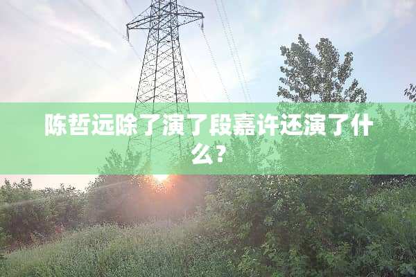 陈哲远除了演了段嘉许还演了什么？