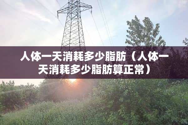 人体一天消耗多少脂肪（人体一天消耗多少脂肪算正常）