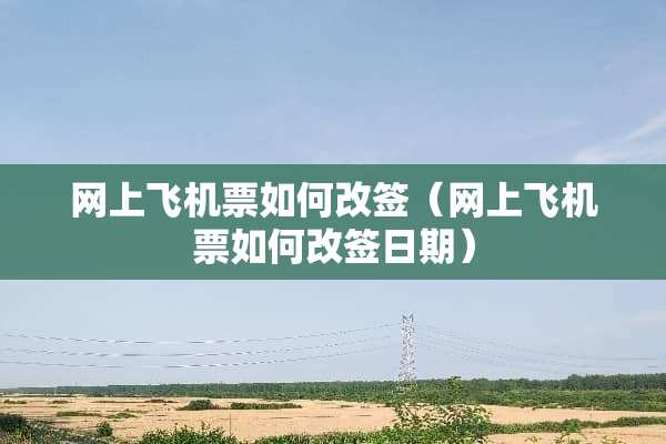 网上飞机票如何改签（网上飞机票如何改签日期）