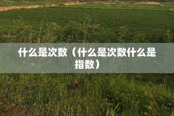 什么是次数（什么是次数什么是指数）
