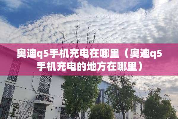 奥迪q5手机充电在哪里（奥迪q5手机充电的地方在哪里）