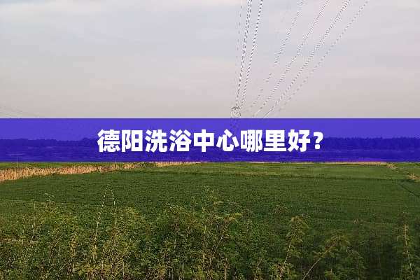 德阳洗浴中心哪里好？