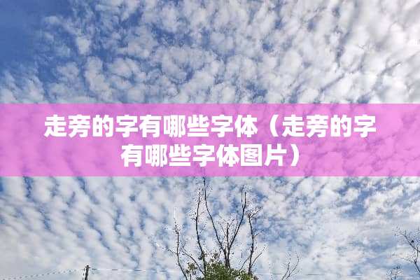 走旁的字有哪些字体（走旁的字有哪些字体图片）
