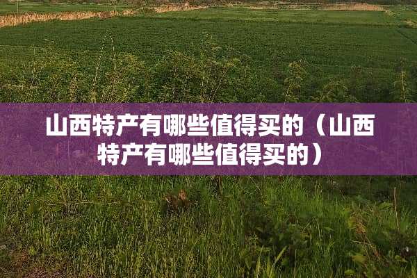 山西特产有哪些值得买的（山西特产有哪些值得买的）