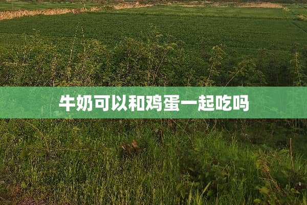 牛奶可以和鸡蛋一起吃吗