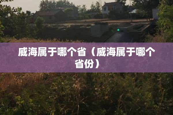 威海属于哪个省（威海属于哪个省份）