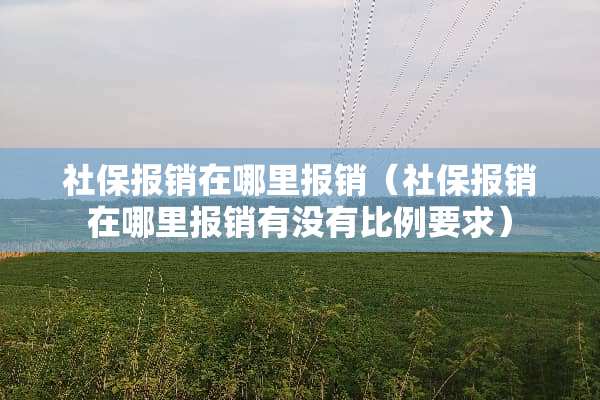 社保报销在哪里报销（社保报销在哪里报销有没有比例要求）