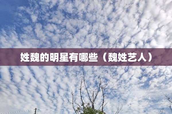 姓魏的明星有哪些（魏姓艺人）