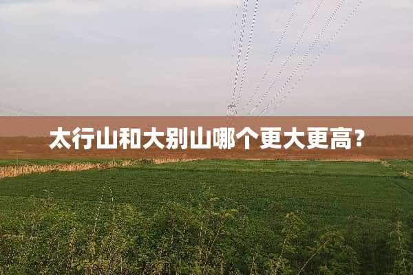 太行山和大别山哪个更大更高？