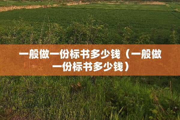 一般做一份标书多少钱（一般做一份标书多少钱）
