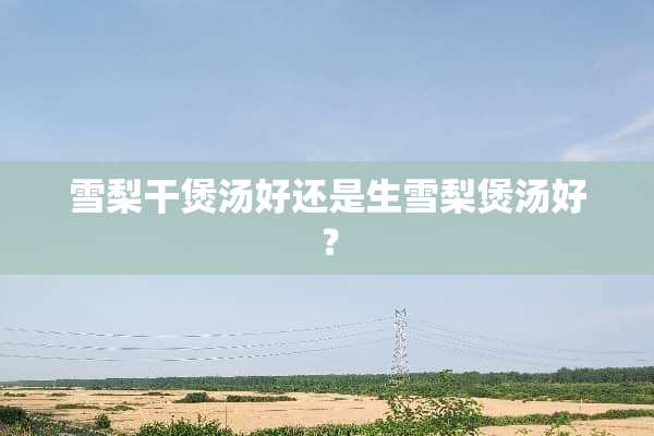 雪梨干煲汤好还是生雪梨煲汤好？