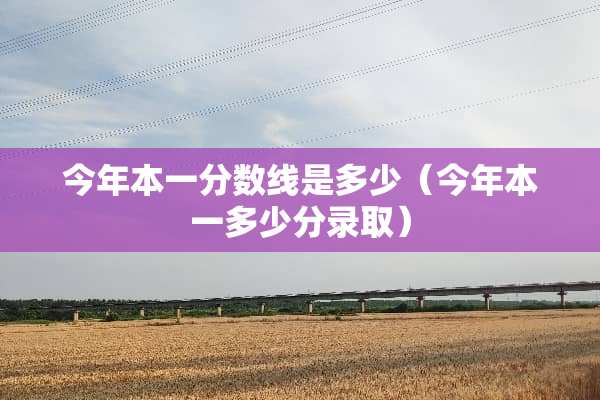 今年本一分数线是多少（今年本一多少分录取）