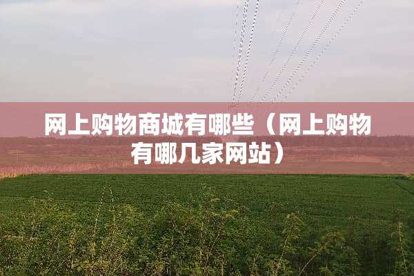网上购物商城有哪些（网上购物有哪几家网站）