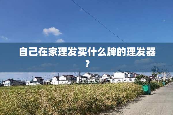 自己在家理发买什么牌的理发器？