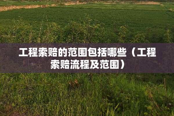 工程索赔的范围包括哪些（工程索赔流程及范围）