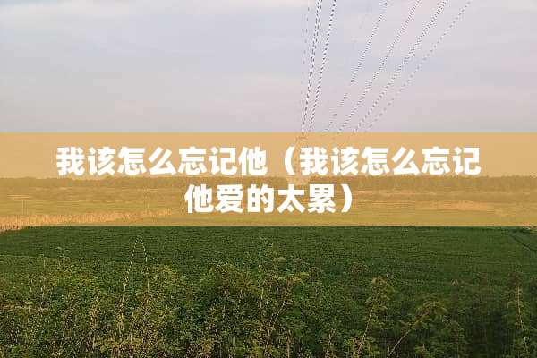 我该怎么忘记他（我该怎么忘记他爱的太累）