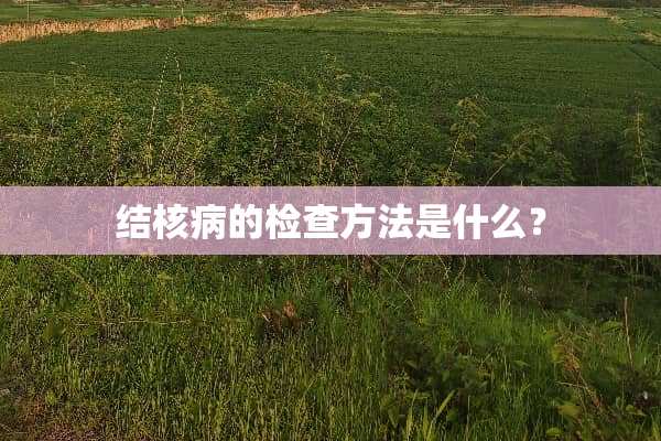 结核病的检查方法是什么？