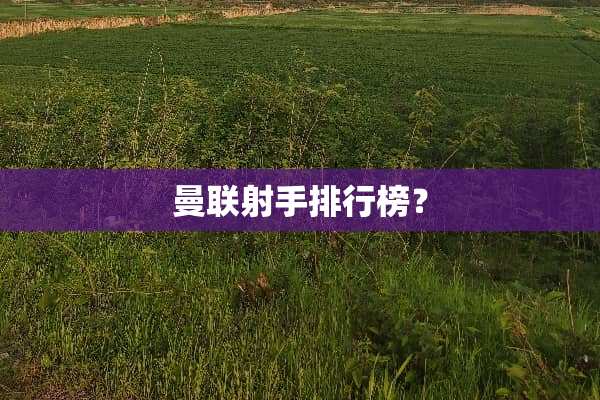 曼联射手排行榜？