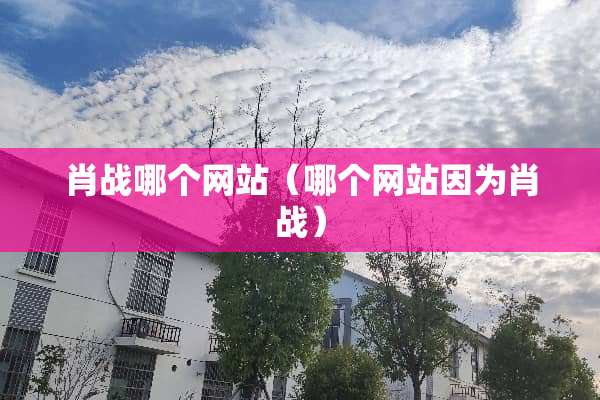 肖战哪个网站（哪个网站因为肖战）