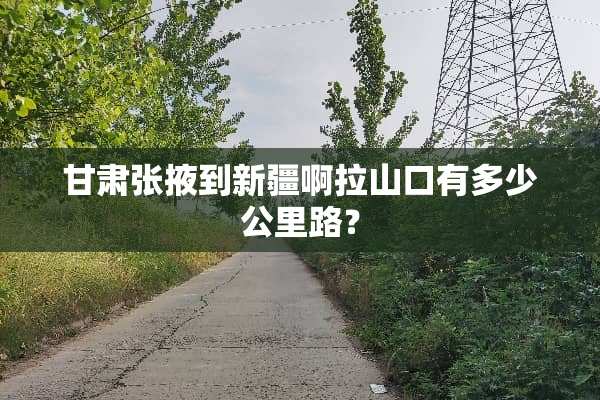 甘肃张掖到新疆啊拉山口有多少公里路？
