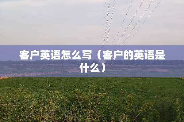 客户英语怎么写（客户的英语是什么）