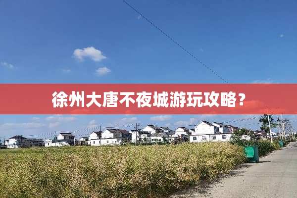徐州大唐不夜城游玩攻略？