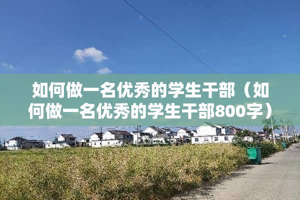 如何做一名优秀的学生干部（如何做一名优秀的学生干部800字）