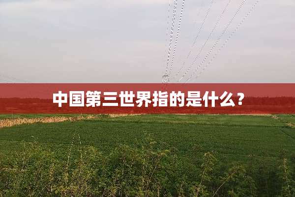 中国第三世界指的是什么？