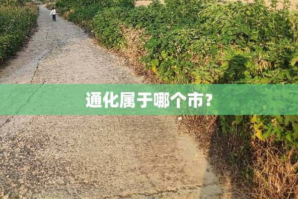 通化属于哪个市？