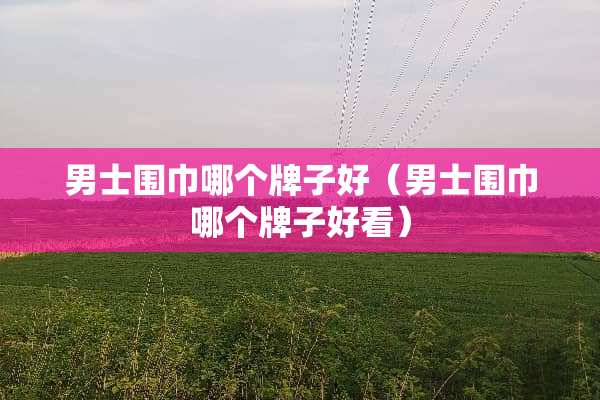 男士围巾哪个牌子好（男士围巾哪个牌子好看）